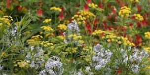 Pollinator Garden Tours