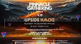 Pinnacle Gathering 4.0 - UPSIDE DOWN