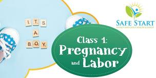 Childbirth Class: Pregnancy and Labor *Online*