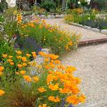 Eco Gardener Class - Drought-Tolerant Gardens (FREE)