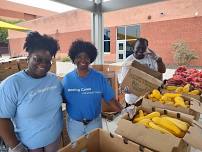 Free Produce June 15th, 9:00 AM