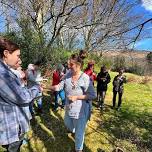 Introduction to Summer foraging workshop in North Ballachulish