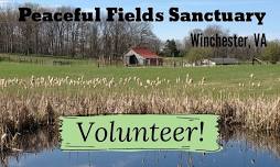 May Volunteer Day at Peaceful Fields Sanctuary