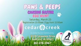 Paws & Peeps | Canine Easter Egg Hunt at Cedar Creek of Bedford