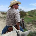 Equine clinic - Horse and Hoof Management