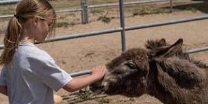 Tour Day at Greener Pastures Farm Sanctuary