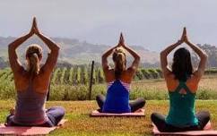 Yoga in the Vines