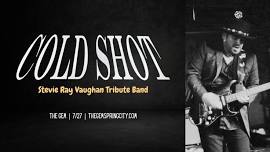 Cold Shot: Stevie Ray Vaughan Tribute - Live at The Gem!