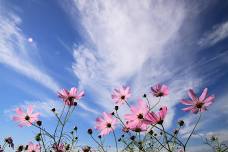 A Quiet Day of Meditation & Rest