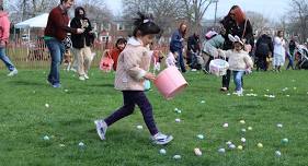 Barnyard Egg Hunt