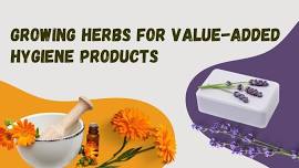 Growing Herbs for Value-Added Hygiene Products