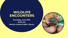 Wildlife Encounters at the Library