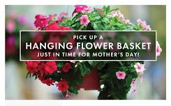 Flower Basket Fundraiser