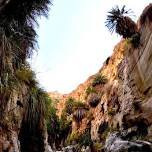 2 Days of Canyon Hiking from Amman