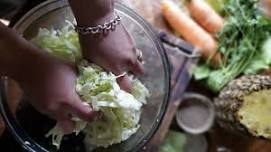 FERMENTATION WORKSHOP with Ann Accetta-Scott