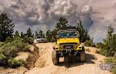 Trail Ride - Thompson Pass