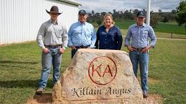 Killain Angus Stud Open Day