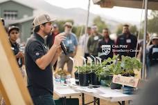 2024 Cal Poly Strawberry Center Field Day