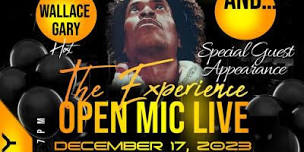 THE EXPERIENCE  OPEN MIC LIVE  Where everyone is a STAR ,