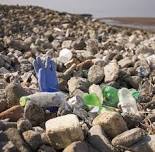 RYA Scotland Coastal Beach Clean Up