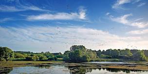 Discover Suffolk Wildlife Trust