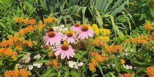 Planting a Native Garden with Dropseed Native Landscapes