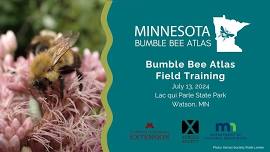 Minnesota Bumble Bee Atlas - Watson Field Training