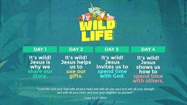 Wild Life VBS - July 2-5