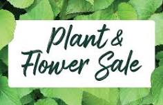 Plant & Flower Sale