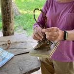 Willow weaving workshop