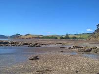 Te Rau Puriri Regional Park to Omokorito Bay - Return