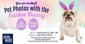 Pet Photos with the Easter Bunny (Amherst, NS)