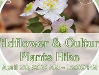 Wildflower and Cultural Plants Hike