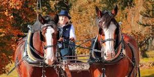 “Horse Drawn Carriage Tour of Crathes Estate: A Clydesdale Experience”