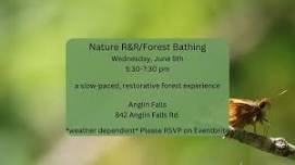 Nature R&R / Forest Bathing