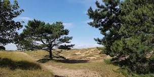 NWT Holme Dunes nature walk