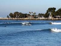 Sunday Funday Surfing & Free Beginners Surfing Course@Doheny Beach