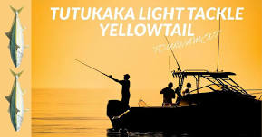 TUTUKAKA LIGHT TACKLE YELLOWTAIL TOURNAMENT