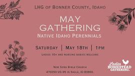 Native Idaho Perennials & Pollinators too: NLHG of Bonner County, ID 1pm PST