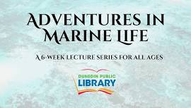 Adventures in Marine Life Lecture Series - Coral Connections