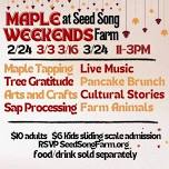 Maple Weekends at Seed Song Farm