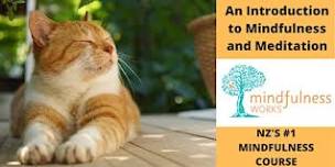 An Introduction to Mindfulness & Meditation 4-wk Course — Invercargill