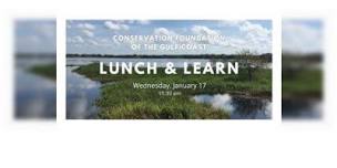 January Lunch and Learn,