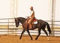 Focused Horsemanship Clinics