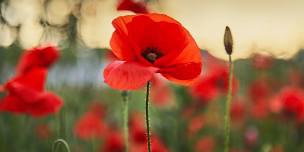 Local Anzac Day Services