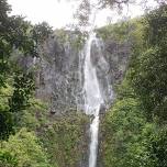 Morrinsville River Trail Run/Walk at 11am