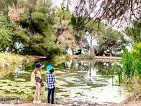 May family forest school session