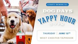 Levante Dog Days - Yappy Hour