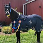 GVRDC Twilight Dressage WNYDA Challenge Series Show