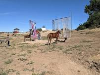 Open Facility Day - 4-H Fundraiser